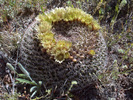 photo thumbnail #15
