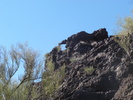 photo thumbnail #15