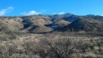photo thumbnail #8