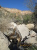 photo thumbnail #13
