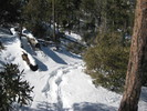 photo thumbnail #10