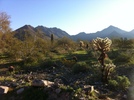 photo thumbnail #1