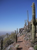 photo thumbnail #5