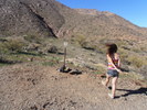photo thumbnail #1