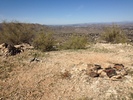 photo thumbnail #4