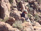photo thumbnail #11