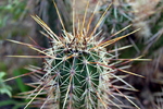photo thumbnail #7