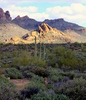 photo thumbnail #9