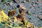photo thumbnail #14