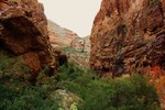 photo thumbnail #14