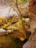 photo thumbnail #15