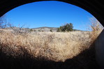 photo thumbnail #11