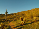 photo thumbnail #1