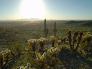 photo thumbnail #5