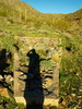 photo thumbnail #9