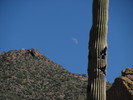 photo thumbnail #14