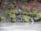 photo thumbnail #10