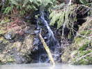 photo thumbnail #11