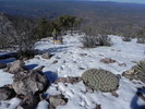 photo thumbnail #10