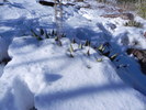 photo thumbnail #13