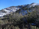 photo thumbnail #14
