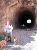 photo thumbnail #3