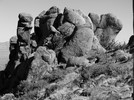 photo thumbnail #7