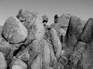 photo thumbnail #11