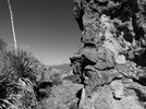 photo thumbnail #13