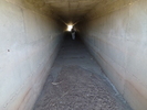 photo thumbnail #14
