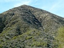 photo thumbnail #9