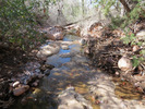 photo thumbnail #7