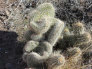 photo thumbnail #9