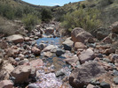 photo thumbnail #10