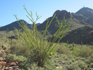 photo thumbnail #1