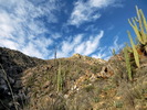 photo thumbnail #2