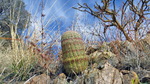 photo thumbnail #10