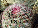 photo thumbnail #11