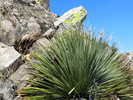 photo thumbnail #15
