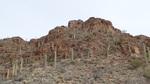 photo thumbnail #8