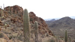 photo thumbnail #14