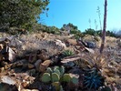 2013-02-12 :1: Rover Peak :: FLYING_FLIVER