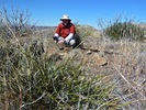 photo thumbnail #13