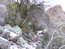 photo thumbnail #12