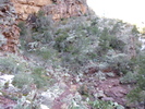 photo thumbnail #14