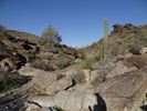 photo thumbnail #3