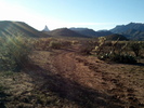 photo thumbnail #5