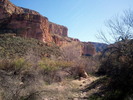 photo thumbnail #8