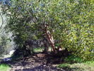 photo thumbnail #15