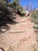 photo thumbnail #10